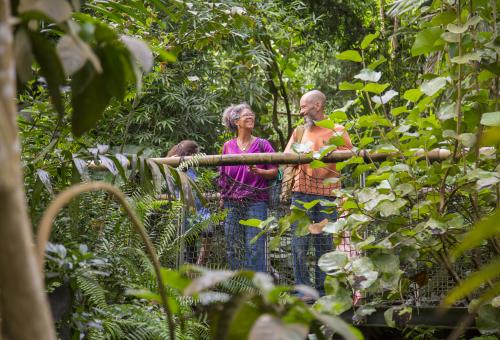 Family standing on the bridge in the Rainforest Biome